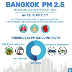 Bangkok and the Battle Against Air Pollution • Air Pollution Bangkok inforgraphic what is pm25