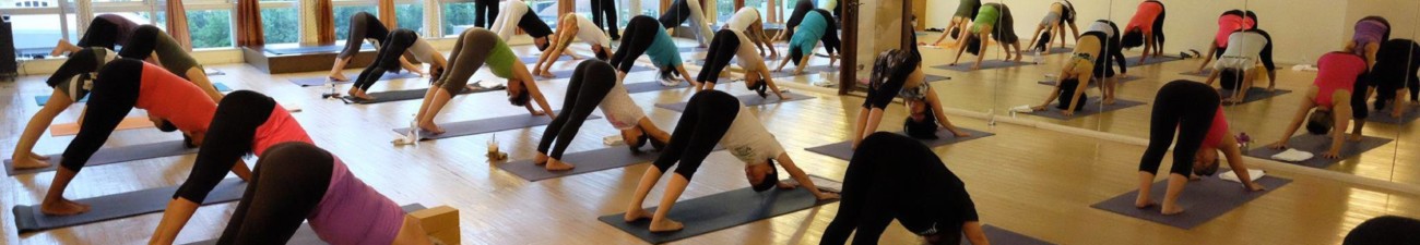 Divine Yoga &bull; 5ed78c88f26eb bp cover image