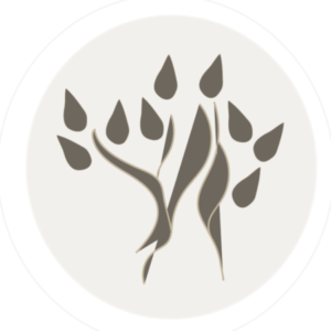 Group logo of Pine Tree Gallery Spa