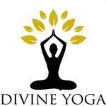 Group logo of Divine Yoga